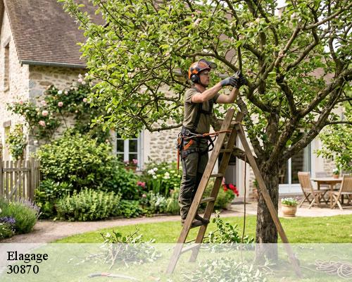 Elagage  clarensac-30870 TC Elagage 