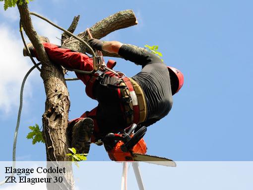 Elagage codolet-30200 ZR Elagueur 30
