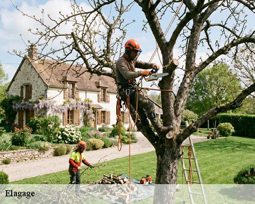 Elagage saint-hippolyte-de-caton-30360 TC Elagage