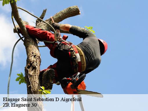 Elagage saint-sebastien-d-aigrefeuil-30140 ZR Elagueur 30