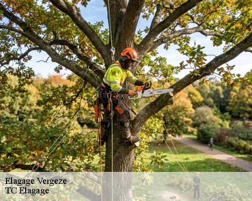 Elagage vergeze-30310 TC Elagage