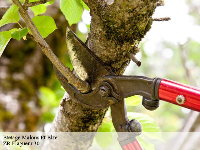 Etetage  malons-et-elze-30450 ZR Elagueur 30