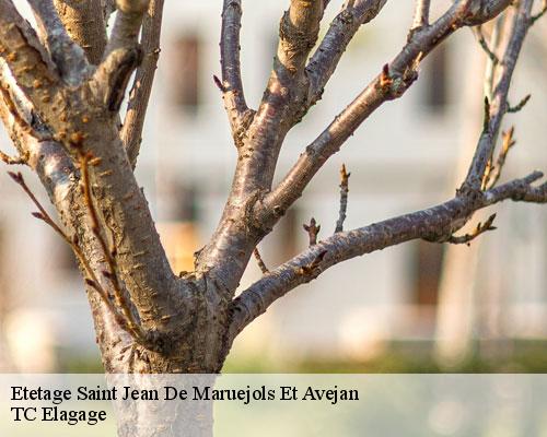 Etetage saint-jean-de-maruejols-et-avejan-30430 TC Elagage