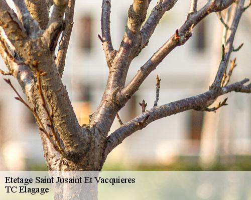 Etetage saint-jusaint-et-vacquieres-30580 TC Elagage