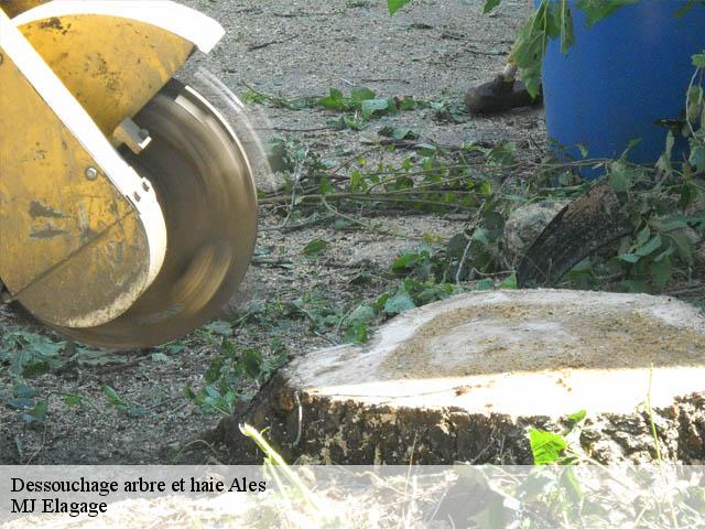 Dessouchage arbre et haie ales-30100 MJ Elagage