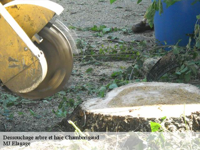 Dessouchage arbre et haie chamborigaud-30530 MJ Elagage
