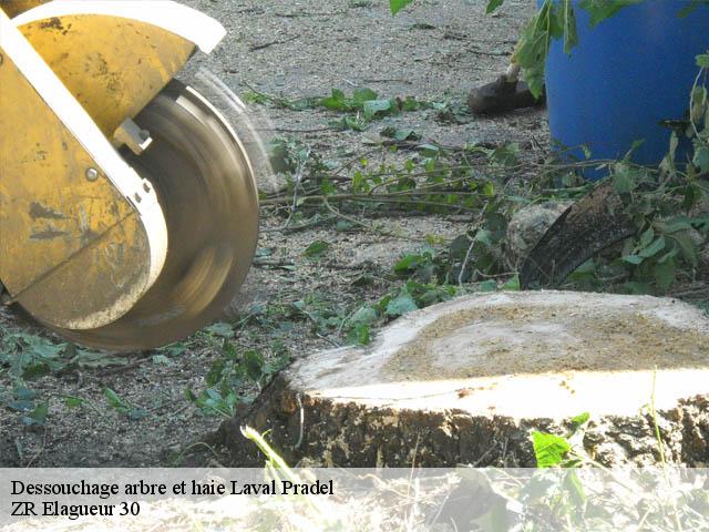 Dessouchage arbre et haie  laval-pradel-30110 ZR Elagueur 30