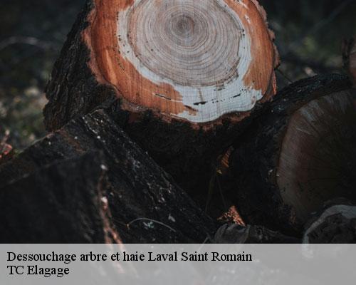 Dessouchage arbre et haie laval-saint-romain-30760 TC Elagage