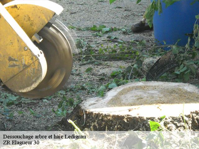 Dessouchage arbre et haie ledignan-30350 ZR Elagueur 30