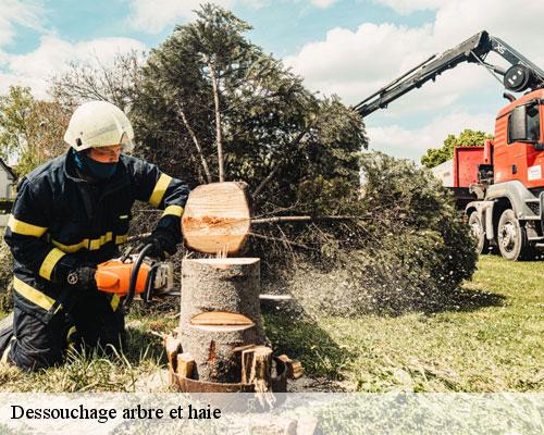 Dessouchage arbre et haie milhaud-30540 TC Elagage