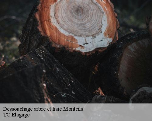 Dessouchage arbre et haie monteils-30360 TC Elagage