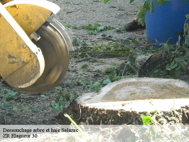 Dessouchage arbre et haie  salazac-30760 ZR Elagueur 30
