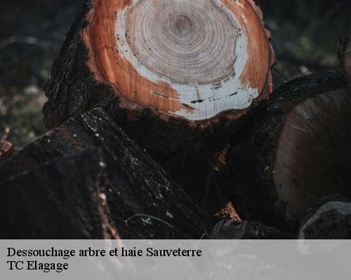 Dessouchage arbre et haie sauveterre-30150 TC Elagage