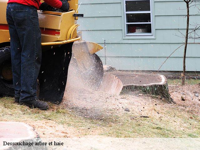 Dessouchage arbre et haie serviers-et-labaume-30700 MJ Elagage