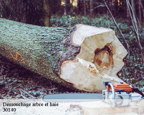 Dessouchage arbre et haie thoiras-30140 TC Elagage