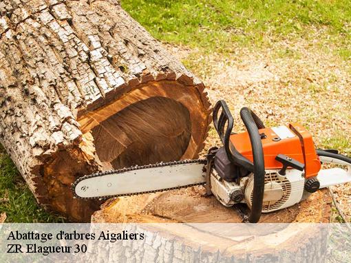 Abattage d'arbres  aigaliers-30700 ZR Elagueur 30