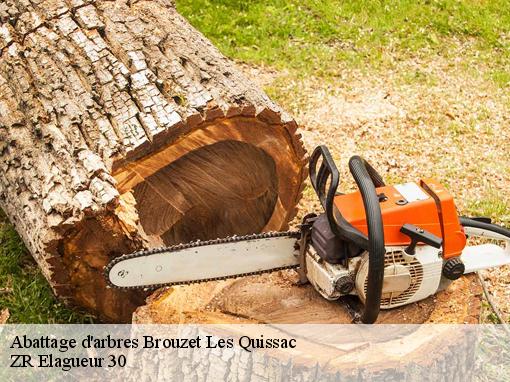 Abattage d'arbres  brouzet-les-quissac-30260 ZR Elagueur 30