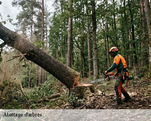 Abattage d'arbres  codognan-30920 TC Elagage 