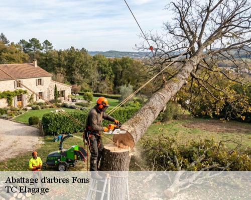 Abattage d'arbres  fons-30730 TC Elagage 