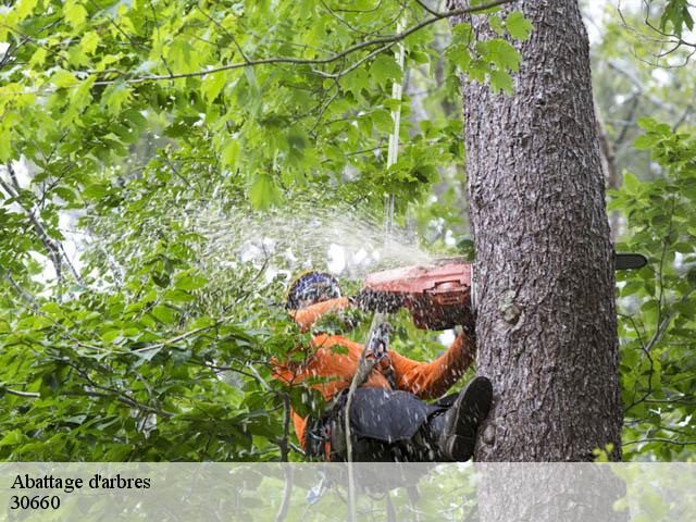 Abattage d'arbres 30660