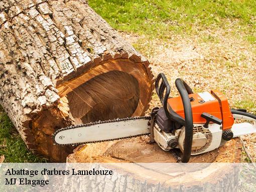Abattage d'arbres lamelouze-30110 MJ Elagage