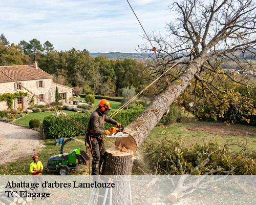 Abattage d'arbres lamelouze-30110 TC Elagage