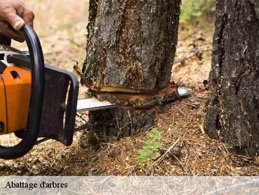 Abattage d'arbres logrian-florian-30610 ZR Elagueur 30