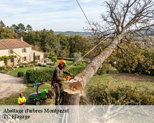Abattage d'arbres montpezat-30730 TC Elagage