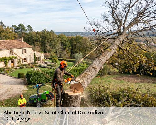 Abattage d'arbres saint-christol-de-rodieres-30760 TC Elagage