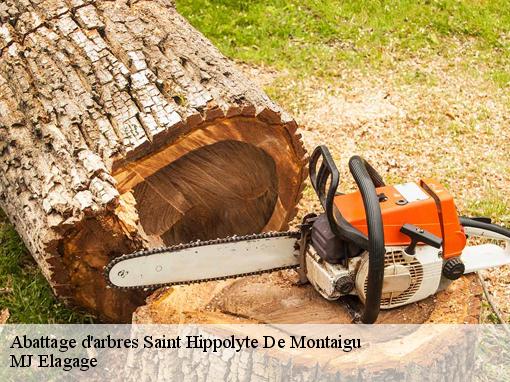 Abattage d'arbres saint-hippolyte-de-montaigu-30700 MJ Elagage