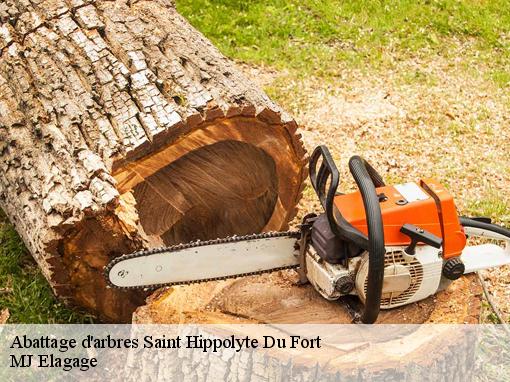 Abattage d'arbres saint-hippolyte-du-fort-30170 MJ Elagage