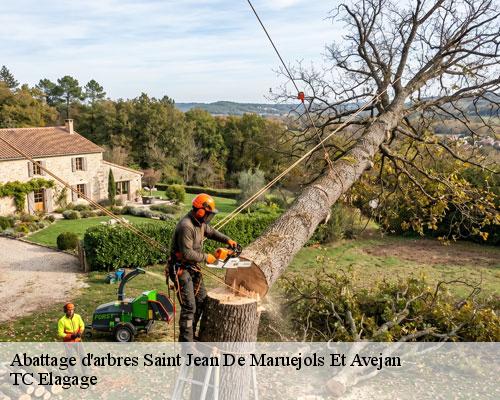 Abattage d'arbres saint-jean-de-maruejols-et-avejan-30430 TC Elagage
