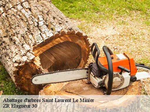 Abattage d'arbres saint-laurent-le-minier-30440 ZR Elagueur 30