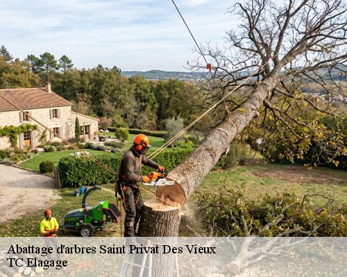 Abattage d'arbres saint-privat-des-vieux-30340 TC Elagage