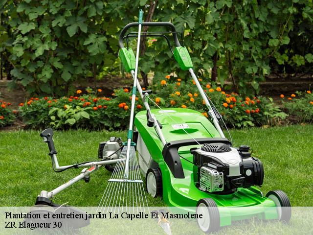 Plantation et entretien jardin  la-capelle-et-masmolene-30700 ZR Elagueur 30