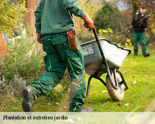 Plantation et entretien jardin lamelouze-30110 TC Elagage