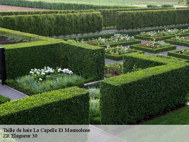 Taille de haie la-capelle-et-masmolene-30700 ZR Elagueur 30