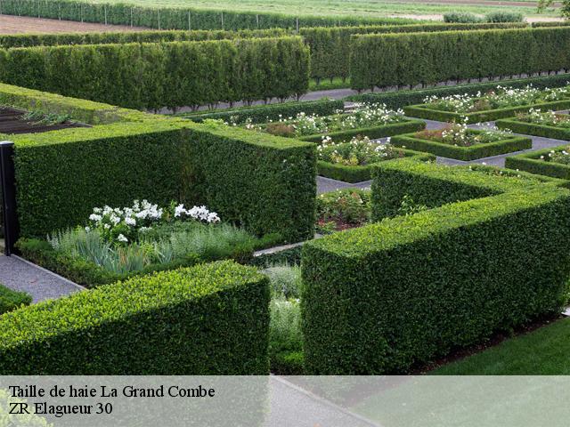 Taille de haie la-grand-combe-30110 ZR Elagueur 30