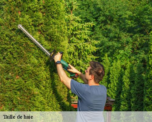 Taille de haie  lamelouze-30110 TC Elagage 
