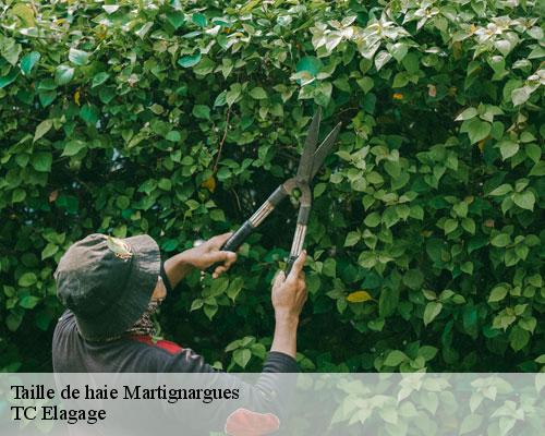 Taille de haie martignargues-30360 TC Elagage