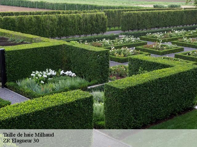 Taille de haie milhaud-30540 ZR Elagueur 30
