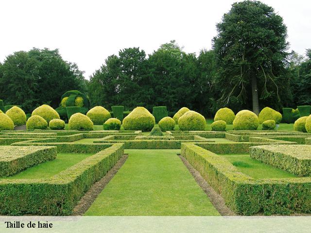 Taille de haie les-plantiers-30122 MJ Elagage