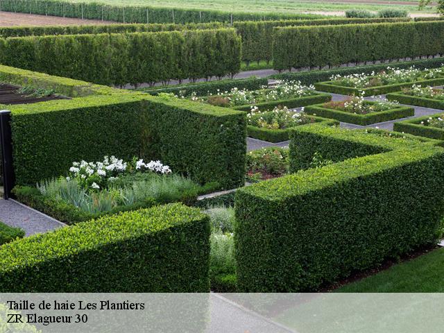 Taille de haie  les-plantiers-30122 ZR Elagueur 30