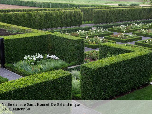 Taille de haie  saint-bonnet-de-salendrinque-30460 ZR Elagueur 30