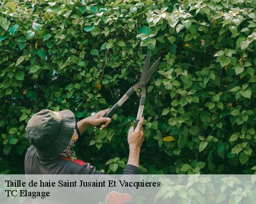 Taille de haie saint-jusaint-et-vacquieres-30580 TC Elagage