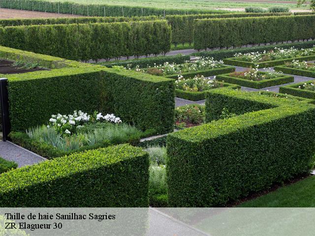 Taille de haie sanilhac-sagries-30700 ZR Elagueur 30