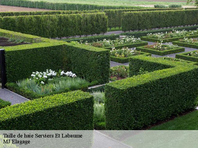 Taille de haie serviers-et-labaume-30700 MJ Elagage