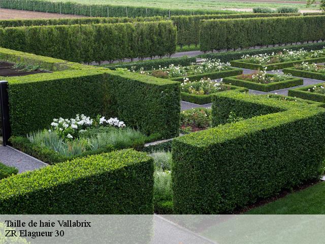 Taille de haie vallabrix-30700 ZR Elagueur 30