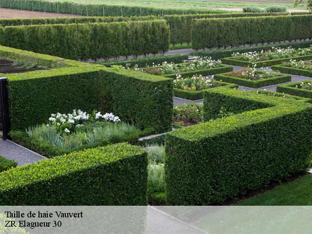 Taille de haie vauvert-30600 ZR Elagueur 30