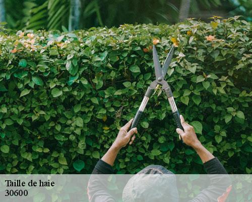 Taille de haie vestric-et-candiac-30600 TC Elagage